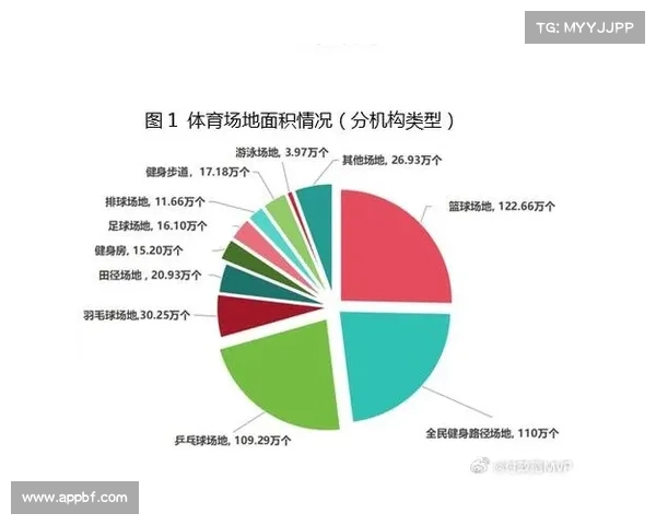 全面解析足篮排三大球类运动的历史发展与未来趋势分析 全面解析足篮排三大球类运动的历史发展与未来趋势分析